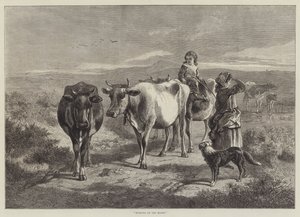 Moors üzerinde sabah